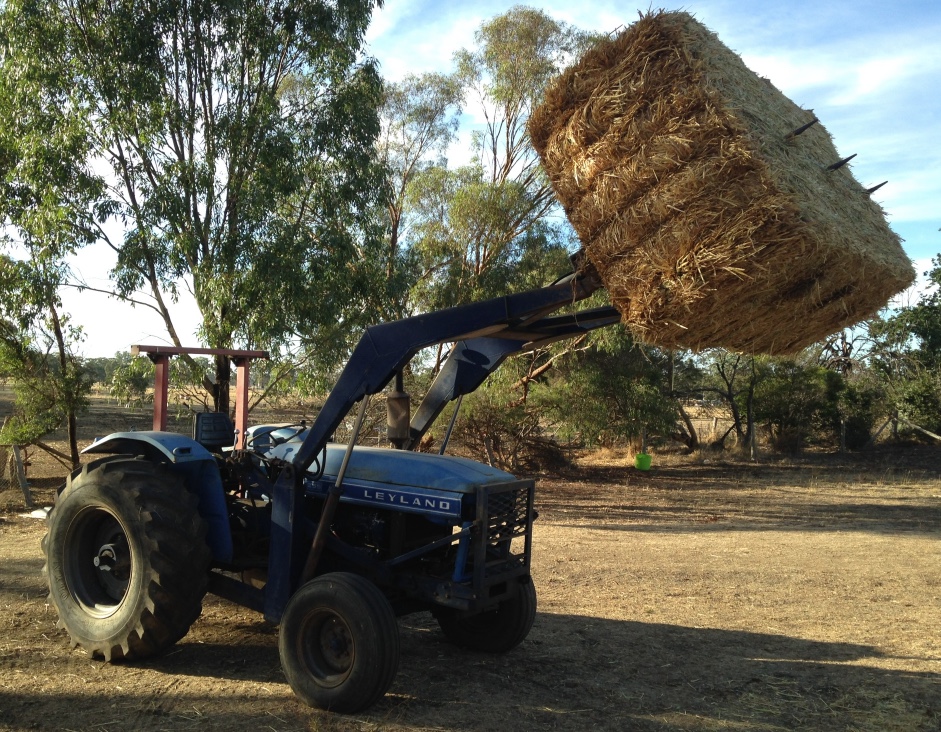 Leyland 255 Front End Loader and Bucket For Sale Machinery